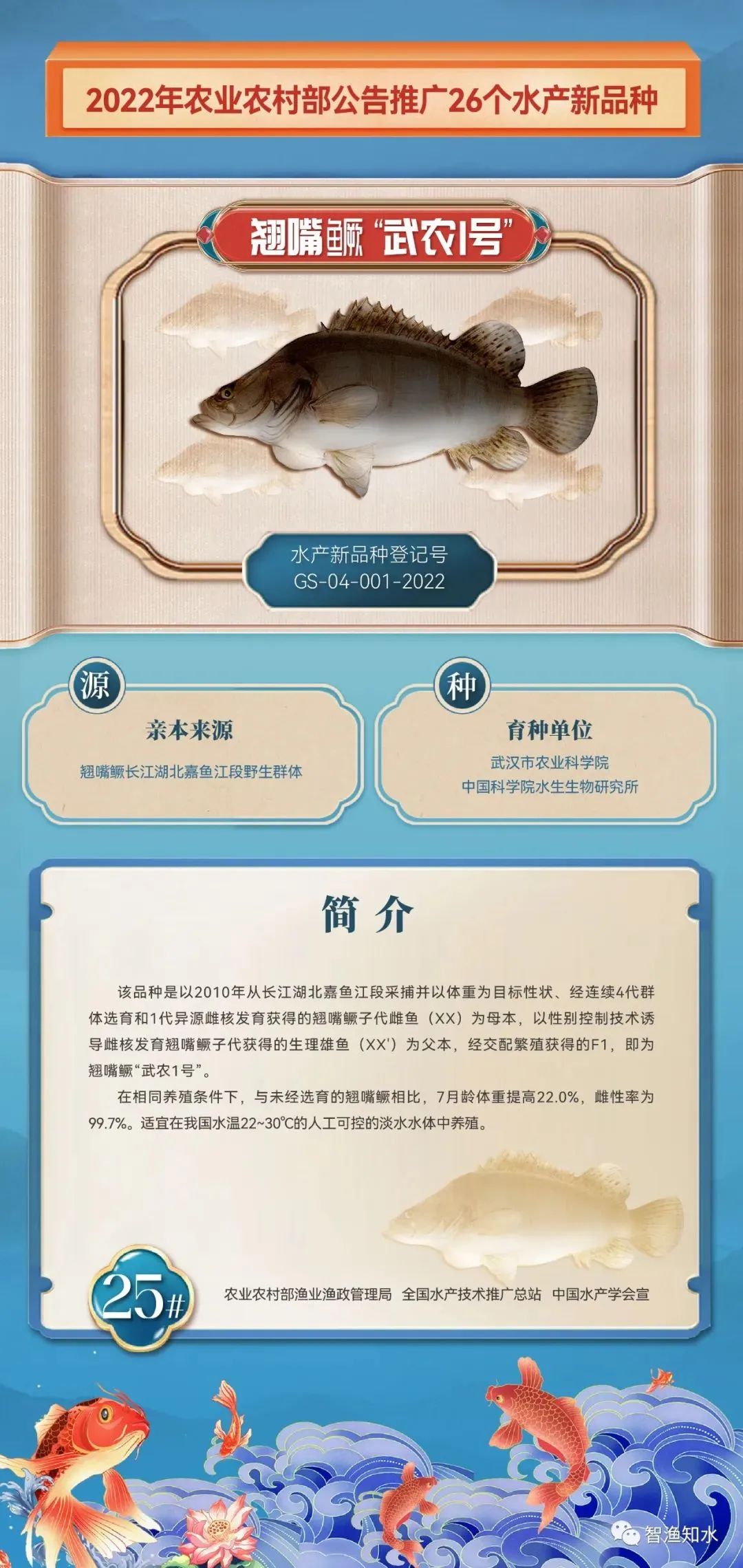 养殖山东罗非鱼技术规程_山东罗非鱼养殖技术_山东罗非鱼养殖基地
