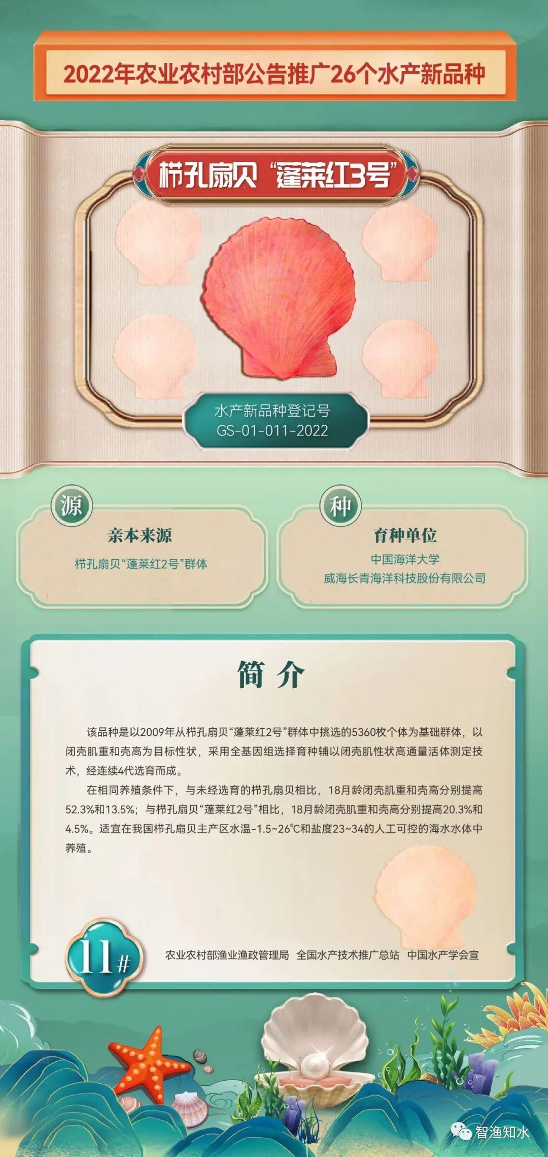 山东罗非鱼养殖基地_山东罗非鱼养殖技术_养殖山东罗非鱼技术规程