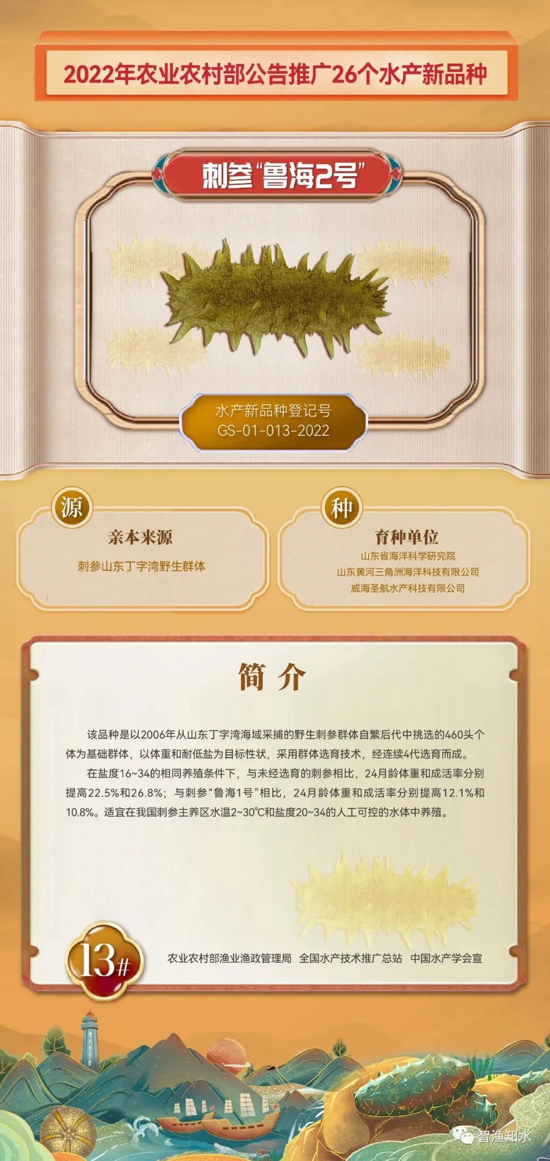山东罗非鱼养殖技术_山东罗非鱼养殖基地_养殖山东罗非鱼技术规程
