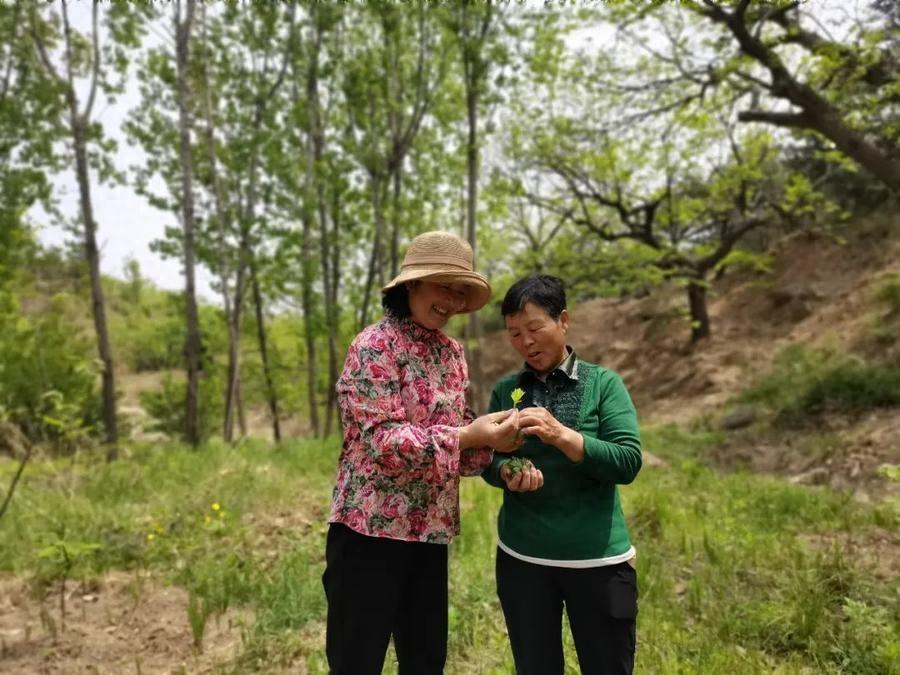 致富农村女人图片大全_农村女人致富经_农村最美致富女能手