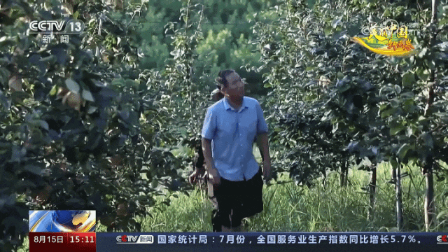 致富果庭院种植_庭院种植水果_庭院种植果树