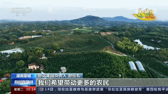 庭院种植果树_致富果庭院种植_庭院种植水果