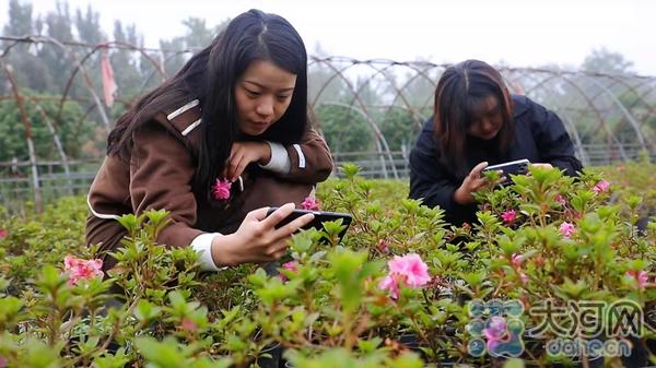 北方种植花树_北方种植花卉致富_北方花卉种植基地