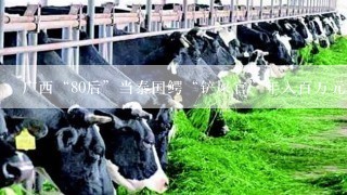 广西“80后”当泰国鳄“铲屎官”年入百万元，这个工