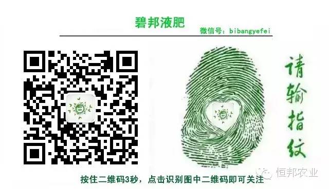 农民致富养殖业_农业养殖致富经_农业致富经养殖大全