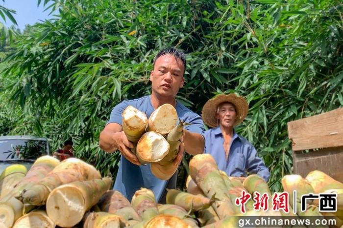 酸的腌制方法和配料_酸腌菜制作方法_腌酸致富经