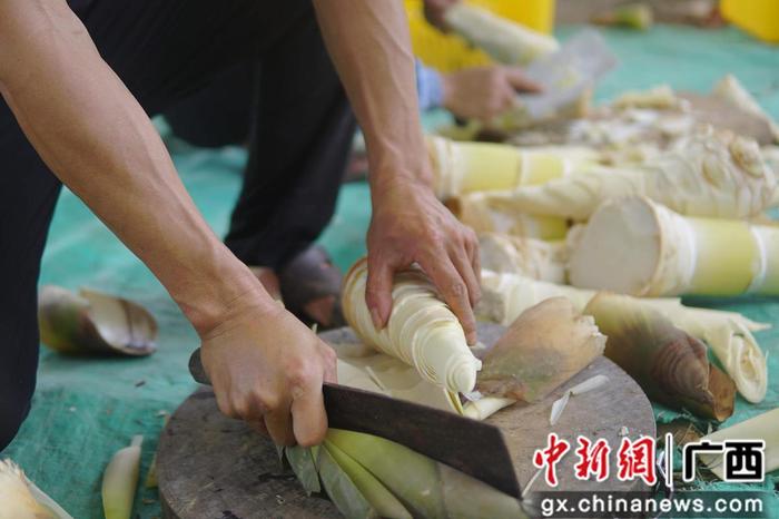 酸的腌制方法和配料_腌酸致富经_酸腌菜制作方法