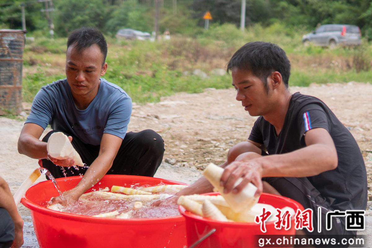 酸的腌制方法和配料_腌酸致富经_酸腌菜制作方法
