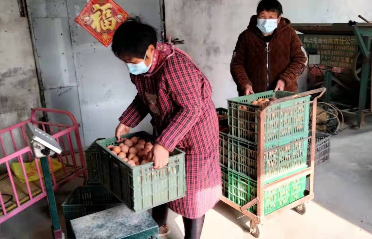 致富经河南养羊_河南养殖致富_河南养殖业什么最赚钱农村