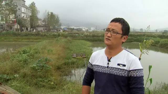 致富经官网养龟_致富经养龟_致富经龟类养殖