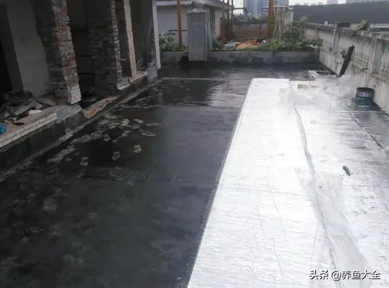 阁楼养殖什么致富_致富养殖阁楼图片_致富养殖好项目大全