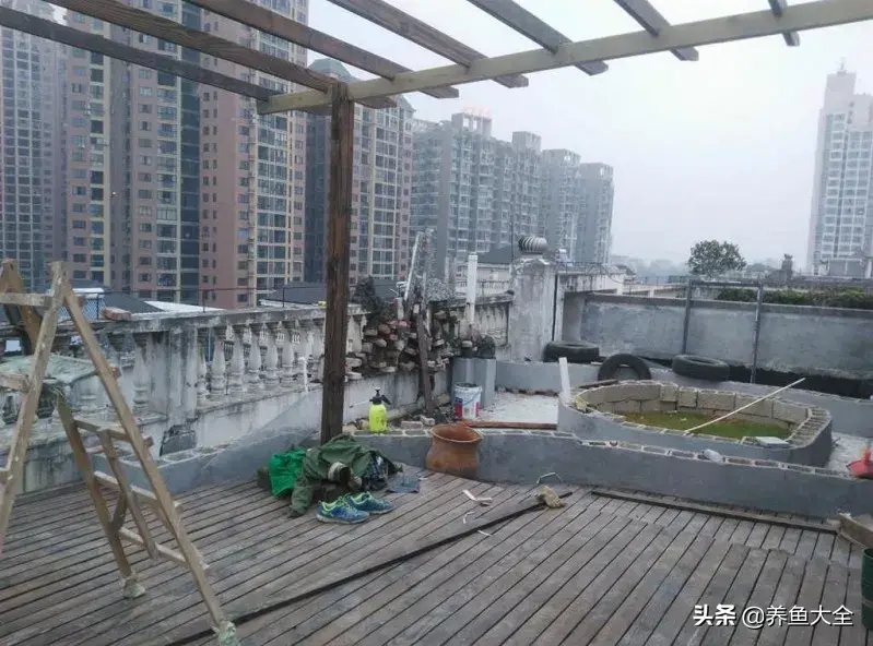 阁楼养殖什么致富_致富养殖好项目大全_致富养殖阁楼图片
