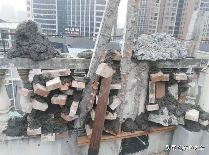 致富养殖好项目大全_阁楼养殖什么致富_致富养殖阁楼图片