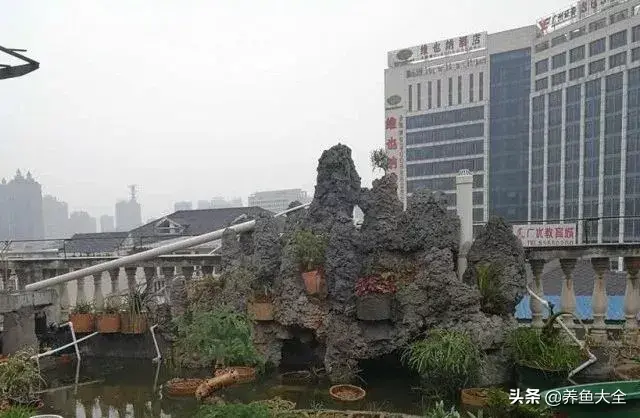 阁楼养殖什么致富_致富养殖阁楼图片_致富养殖好项目大全