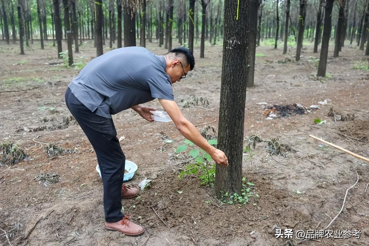 致富经养蝉_养蝉骗局_蝉养殖赚钱吗
