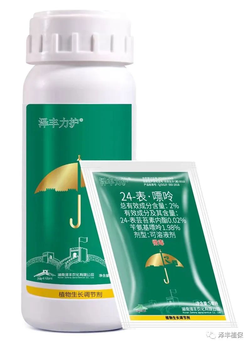 种植草莓计划技术有哪些_草莓种植技术计划_种植草莓技术及日常管理