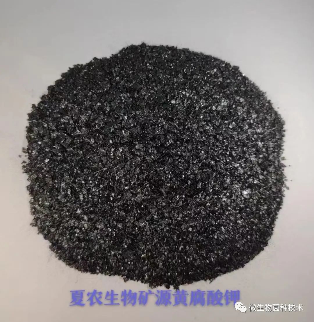 草莓种植技术计划_种植草莓计划技术总结_草莓种植计划方案