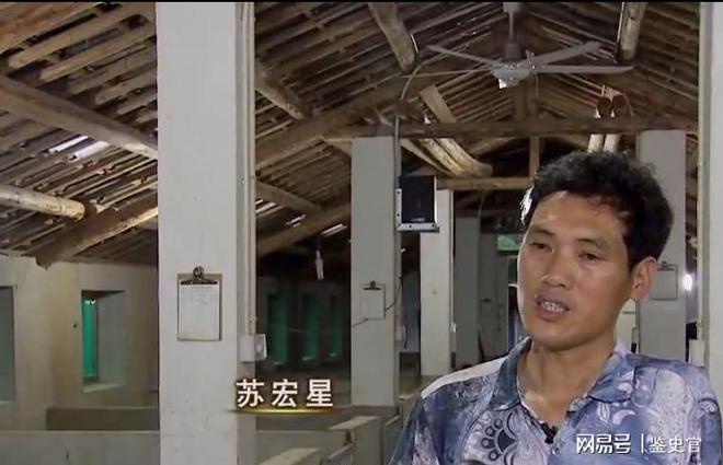 野猪养殖许姐_致富经野猪养殖视频全集_致富经魏树波养野猪
