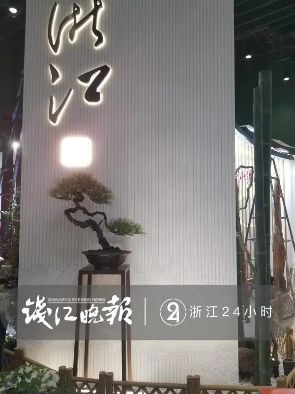 花卉致富种植机器视频_花卉致富种植机器图片_花卉种植致富机器