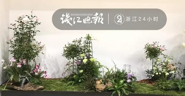 花卉种植致富机器_花卉致富种植机器图片_花卉致富种植机器视频