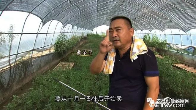 养蛇技术视频大全集_蛇养殖技术视频致富经_养殖蛇