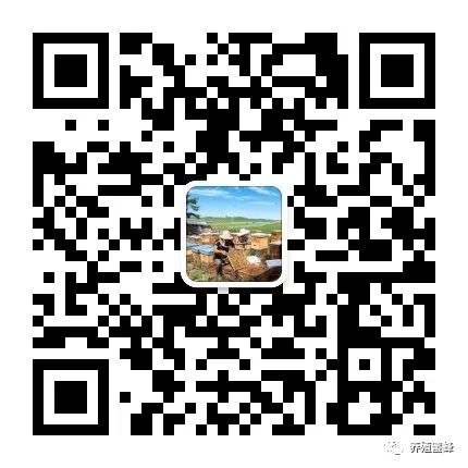 蜜蜂致富养殖方法_养殖蜜蜂致富_蜜蜂致富养殖视频