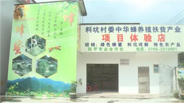 养殖蜜蜂致富_蜜蜂养殖项目_蜜蜂致富养殖方法