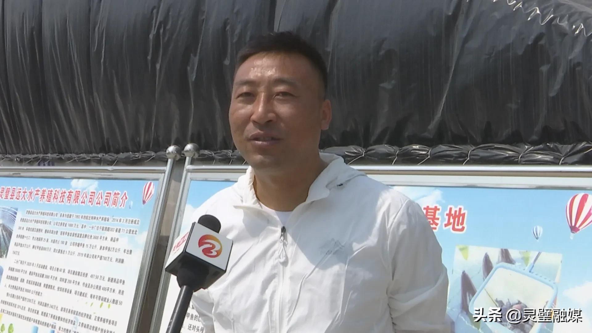 人工孵化鱼苗技术要点_致富经人工孵化鱼苗_致富孵化人工鱼苗视频