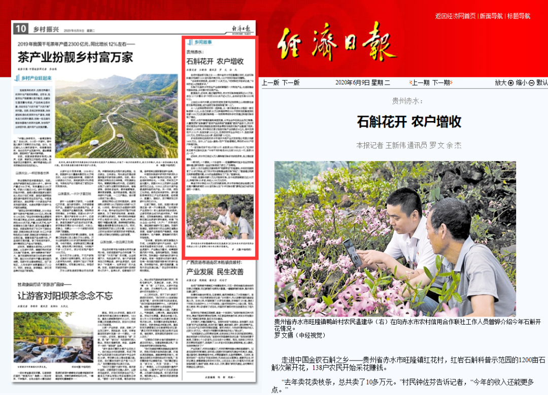 胡蜂养殖技术视频教程贵阳_云南胡蜂养殖技术视频_云南胡峰养殖技术