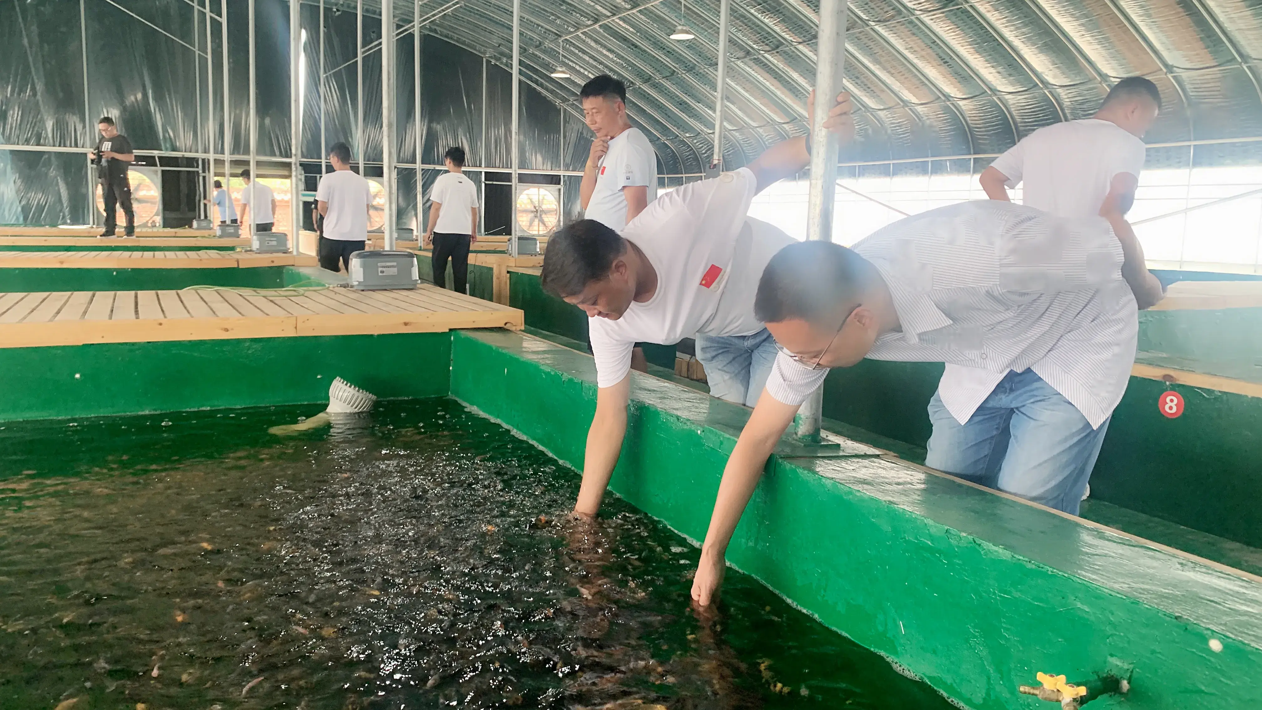 致富经人工孵化鱼苗_人工孵化鱼苗视频_致富孵化人工鱼苗怎么样