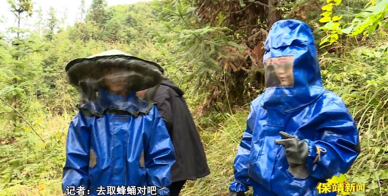 胡蜂养殖技术视频全集_云南胡峰养殖技术_云南胡蜂养殖技术视频