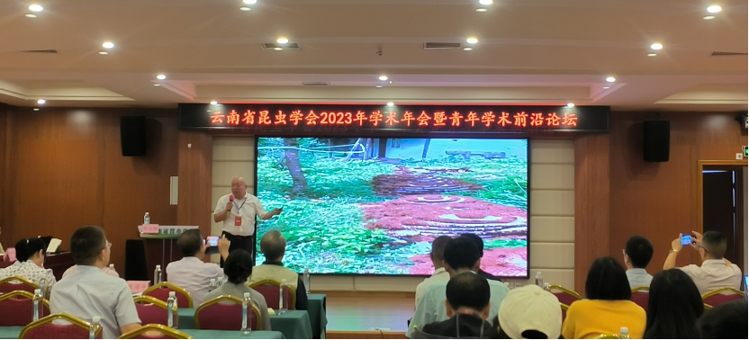云南胡蜂养殖技术视频_胡蜂养殖技术视频教程贵阳_云南省胡蜂养殖基地