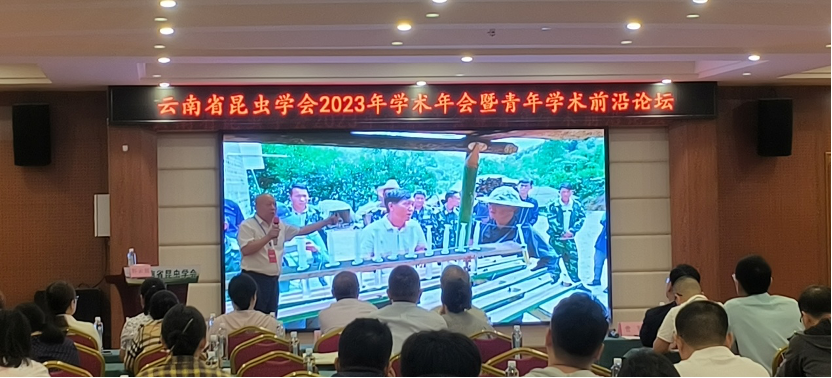 云南胡蜂养殖技术视频_胡蜂养殖技术视频教程贵阳_云南省胡蜂养殖基地