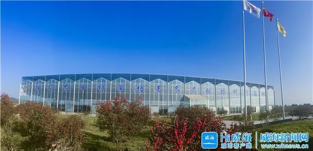 种植无花果挣钱吗_无花果种植 致富经_致富种植无花果图片大全