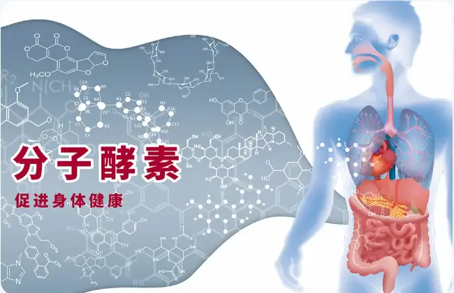 刺梨专利_致富经 刺梨_刺梨的骗局