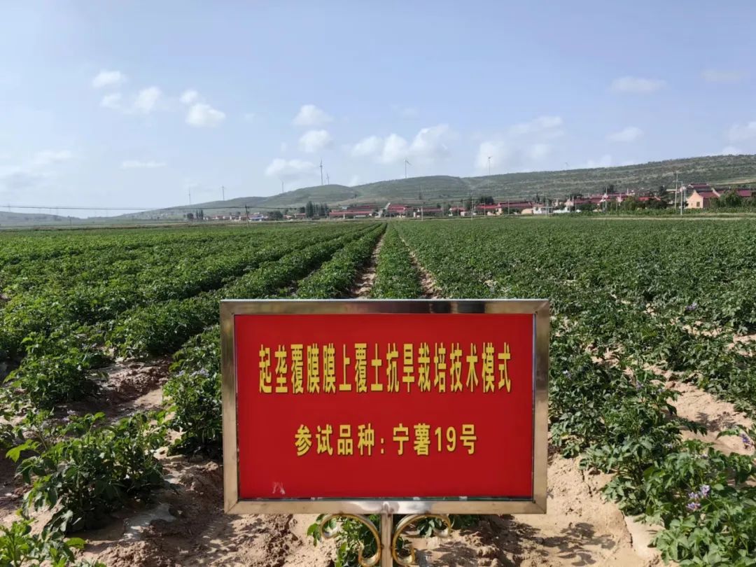 北方温室葡萄种植视频_北方葡萄的种植方法和技术视频_北方葡萄养殖技术视频