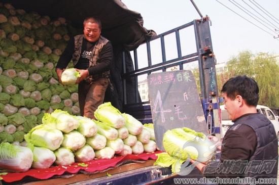 鬼子姜的种植方法：新疆开发区（头屯河区）保证春节菜品供应安全