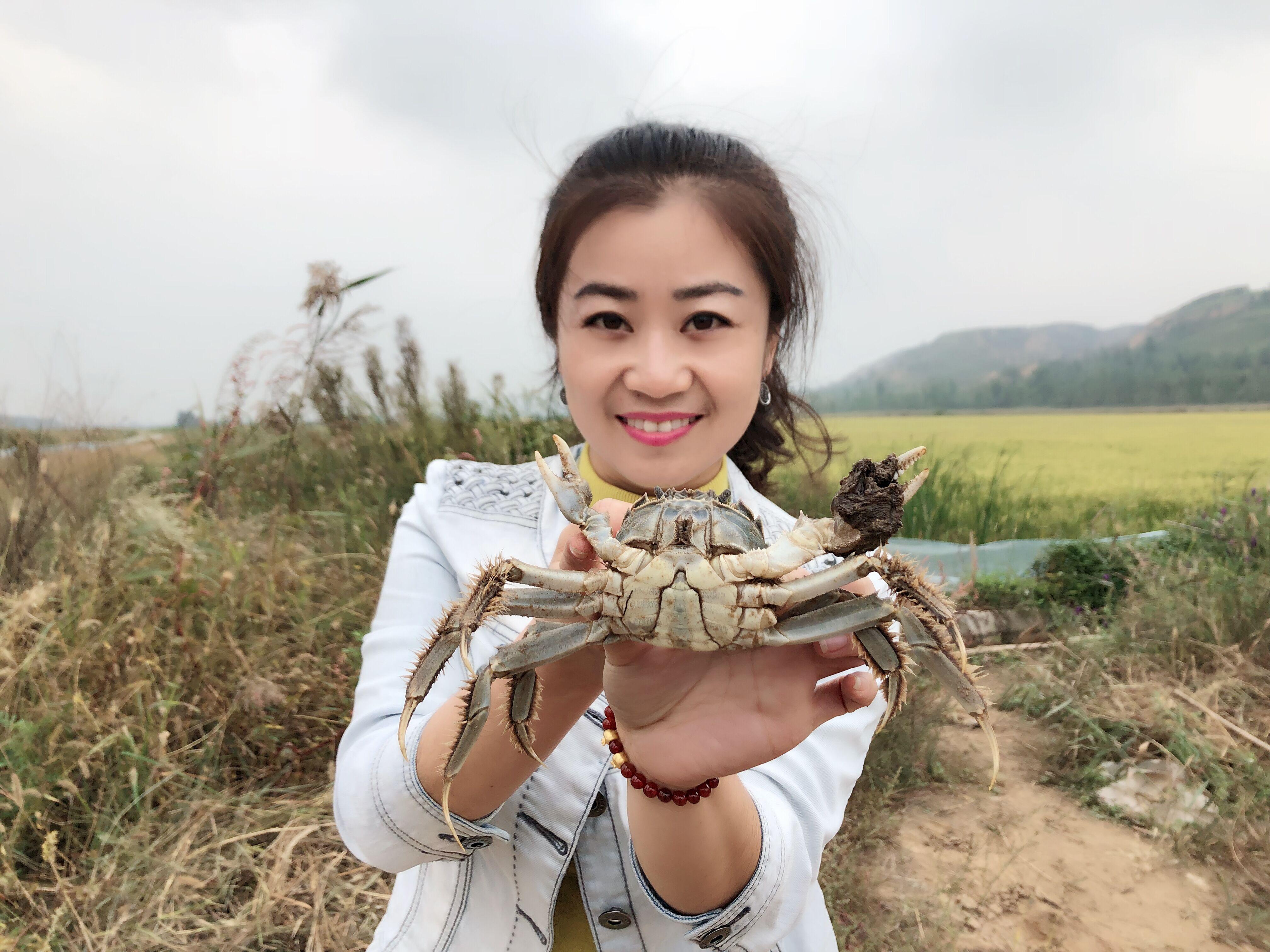 螃蟹 致富经_螃蟹致富新闻_养螃蟹致富经