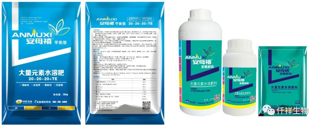 草莓种植技术大全与管理_种植草莓技术及日常管理_种植大全草莓管理技术视频