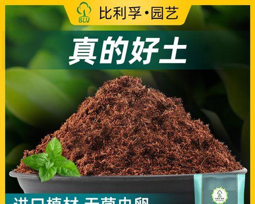 多肉爱好者必看！兰花土也可以种多肉！（探秘兰花土的独特性质和适合多肉生长的优势）