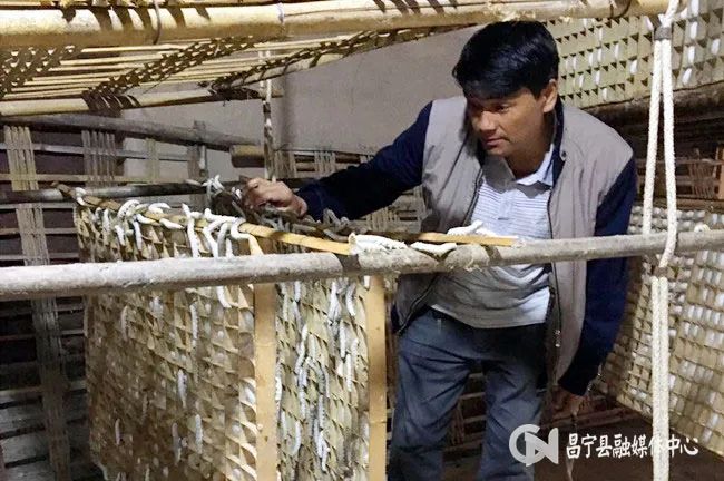 桑蚕养殖业_蚕养殖技术致富经_蚕桑养殖致富视频