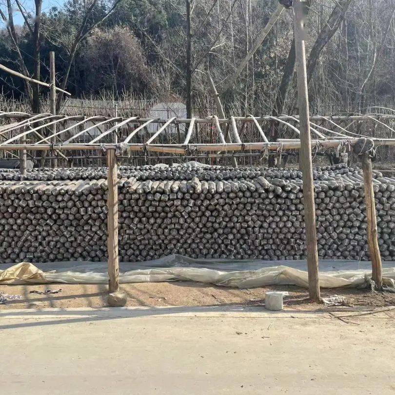 建设宜居宜业和美乡村——豫见发展实践小队寒假社会实践纪实