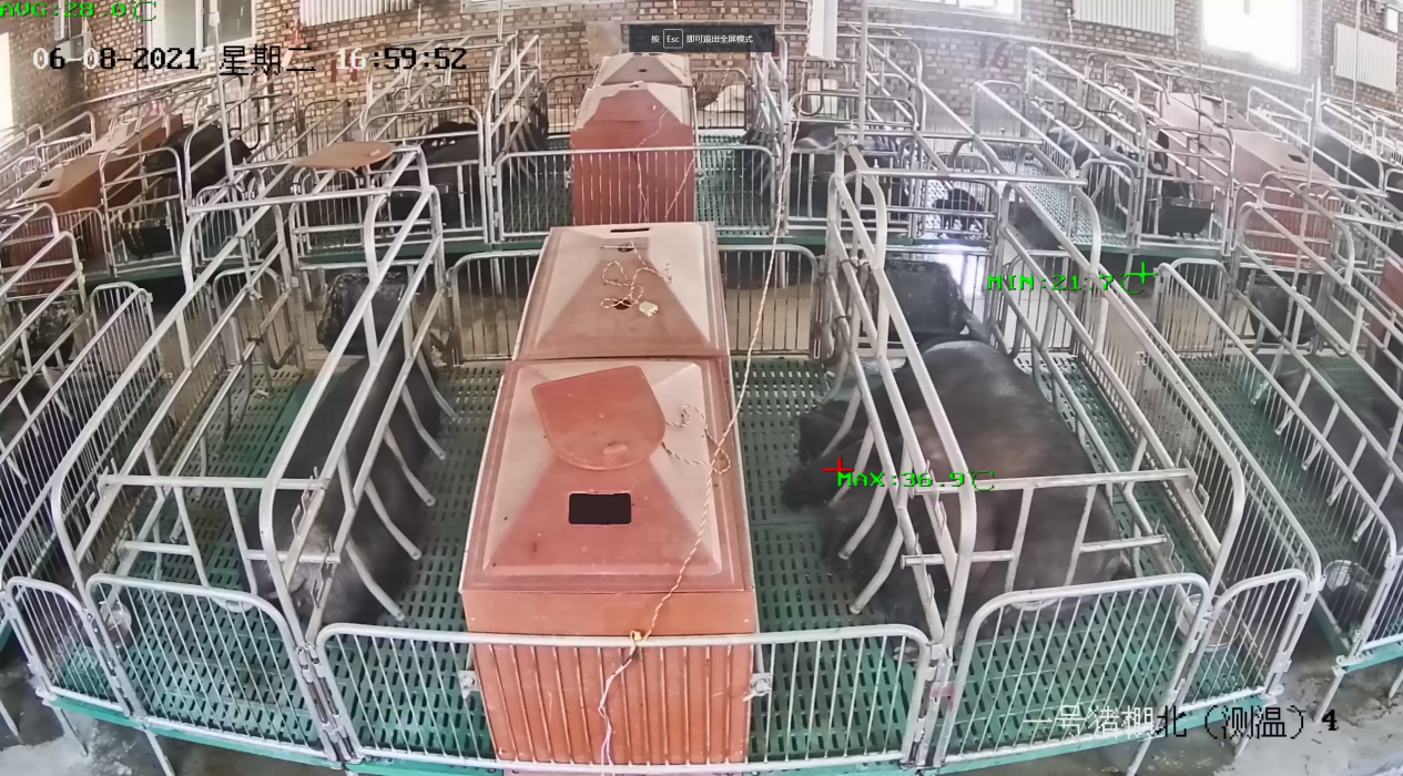 陕西移动聚焦智慧养殖产业 助力乡村振兴
