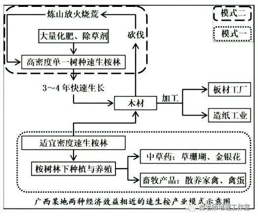 种植什么植物会致富_致富种植植物会怎么样_靠种植致富的农民