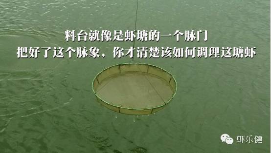 白对虾养殖技术视频_白对虾养殖最新设备_2015白对虾养殖技术