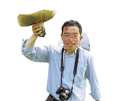 了不起的“蘑菇先生”