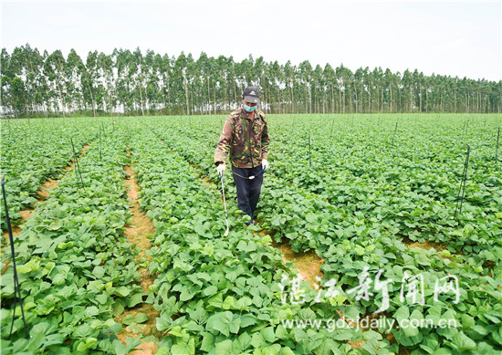 贫困户变身种植能手脱贫致富