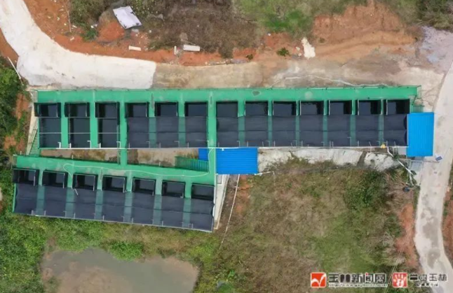 养殖高密度青鱼技术视频_青鱼高密度养殖技术_养殖高密度青鱼技术要求