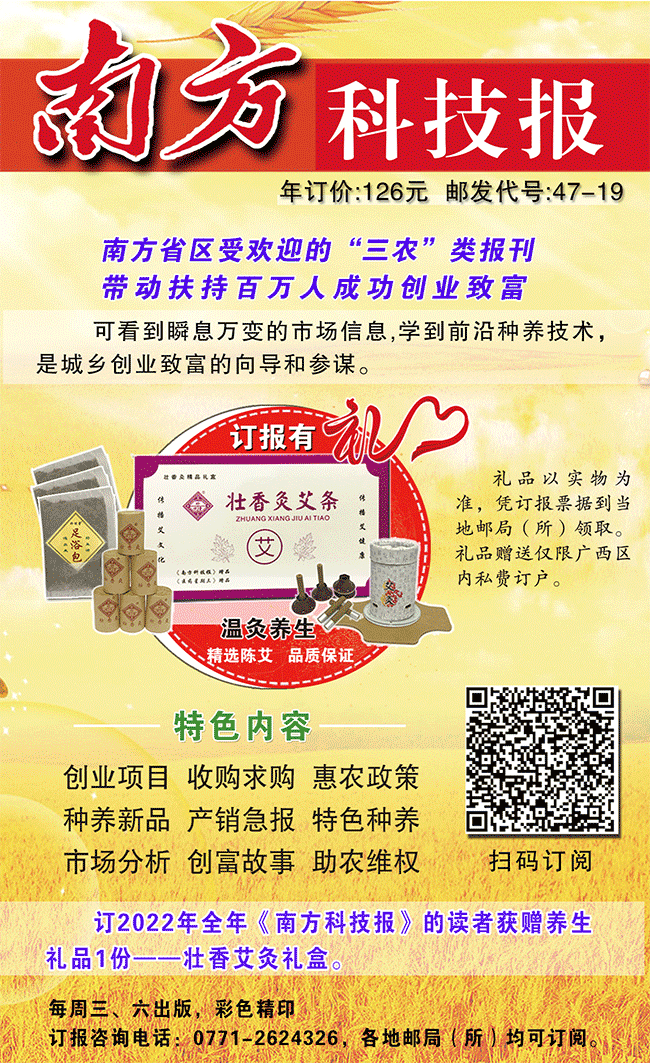 青鱼高密度养殖技术_养殖高密度青鱼技术视频_养殖高密度青鱼技术要求