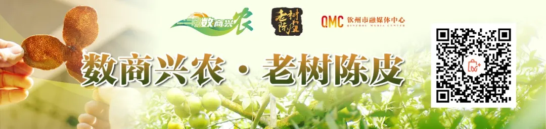 如何做好银行优质服务_成效优质银行经验服务案例_银行优质服务成效经验